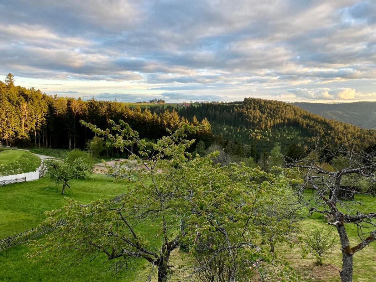 Ferienhaus Mit 5* Luxus Im Schwarzwald Gemeinde Gemeinde Aichhalden Εξωτερικό φωτογραφία