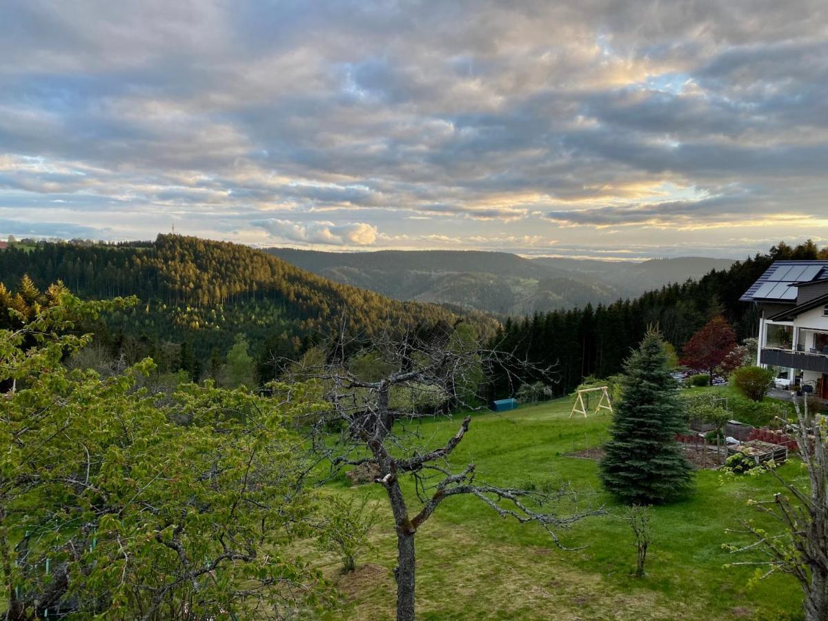 Ferienhaus Mit 5* Luxus Im Schwarzwald Gemeinde Gemeinde Aichhalden Εξωτερικό φωτογραφία