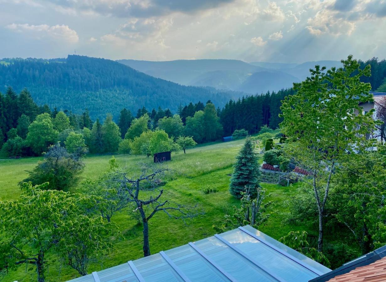 Ferienhaus Mit 5* Luxus Im Schwarzwald Gemeinde Gemeinde Aichhalden Εξωτερικό φωτογραφία